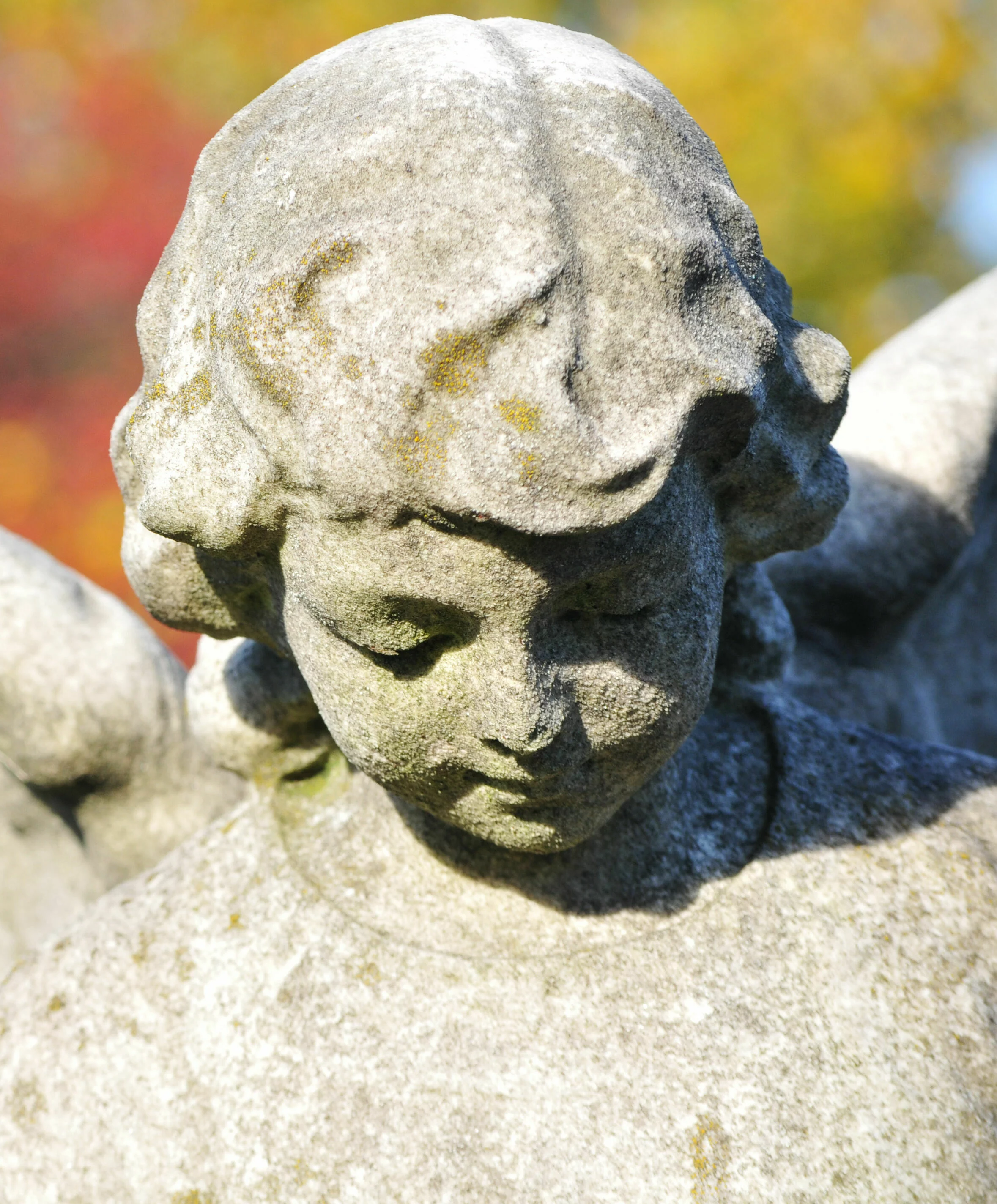 Steinfigur eines Engels mit geschlossenen Augen und ausgebreiteten Flügeln, die auf einer Begräbnisstätte steht, vor einem Hintergrund aus bunten Herbstblättern.