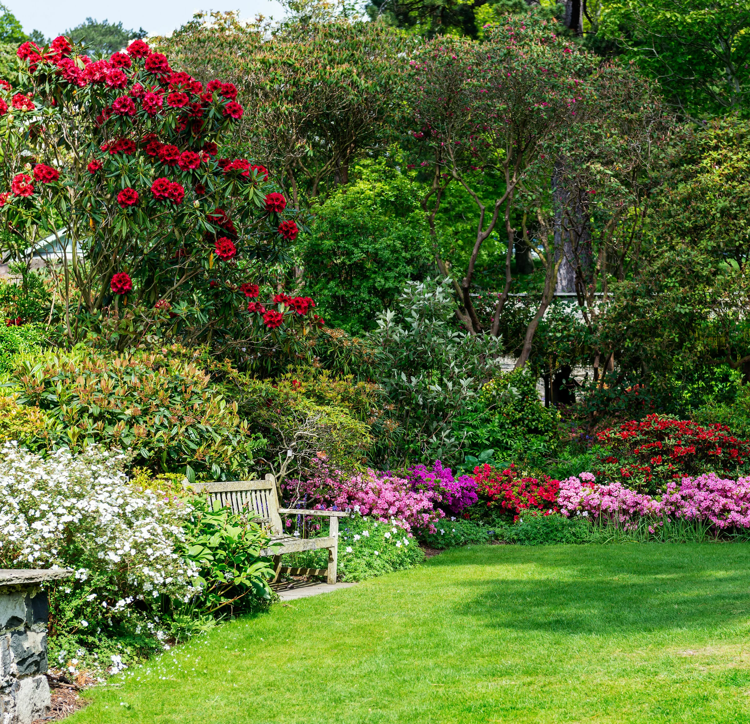 Parkbänke stehen vor einer üppigen Blumenkulisse mit Bäumen im Hintergrund