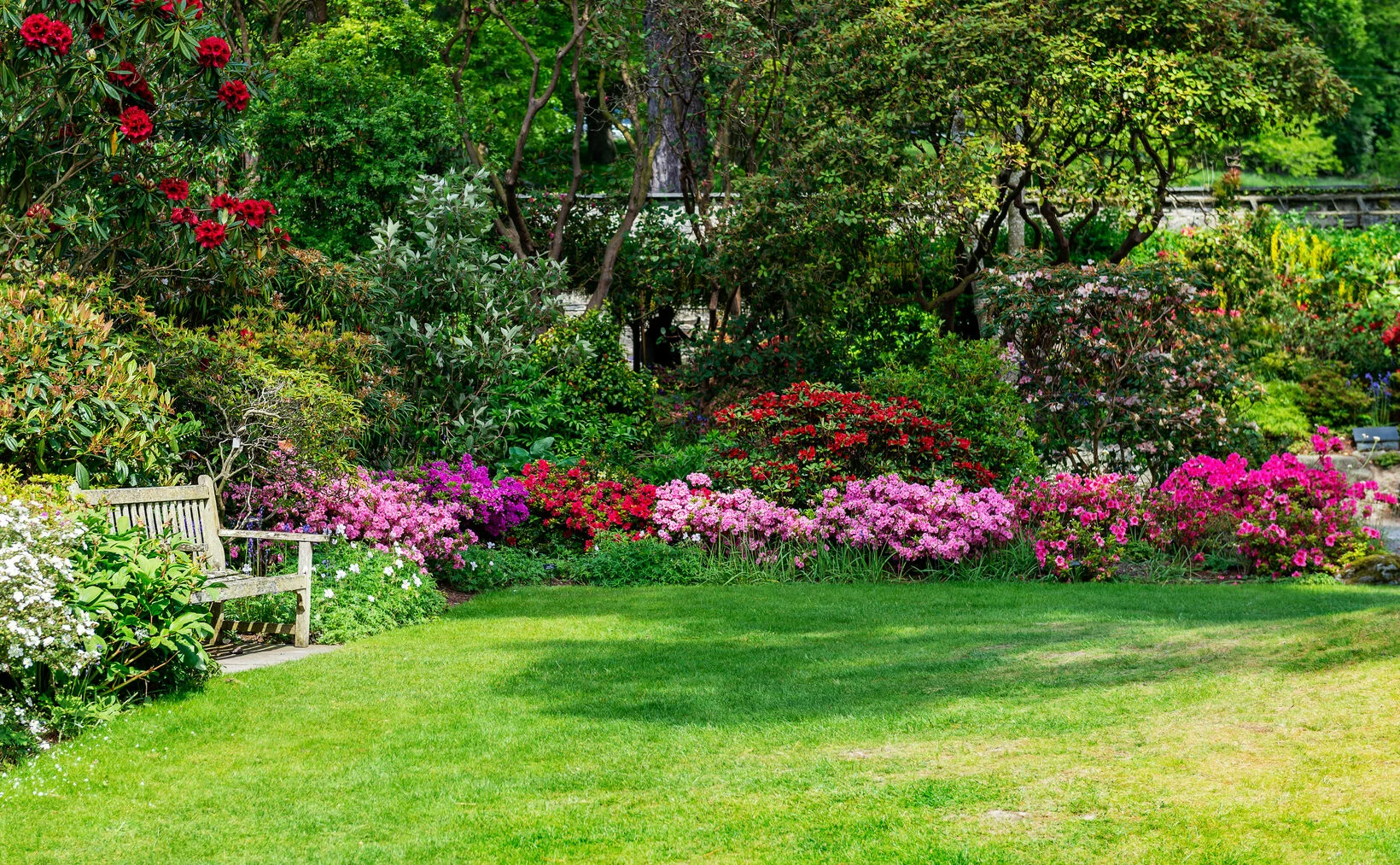 Parkbänke stehen vor einer üppigen Blumenkulisse mit Bäumen im Hintergrund